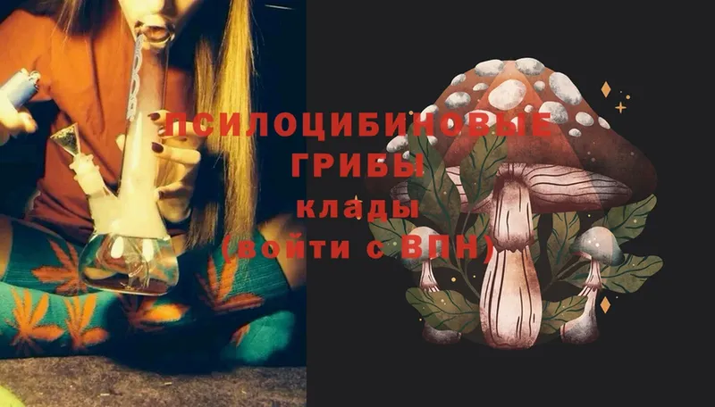 Псилоцибиновые грибы Magic Shrooms  Кондопога 